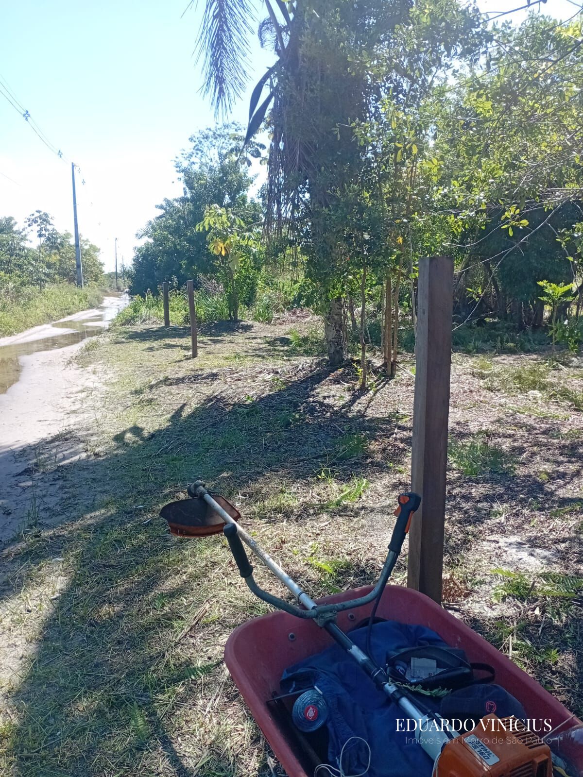 Terreno, 2500 m² - Foto 2