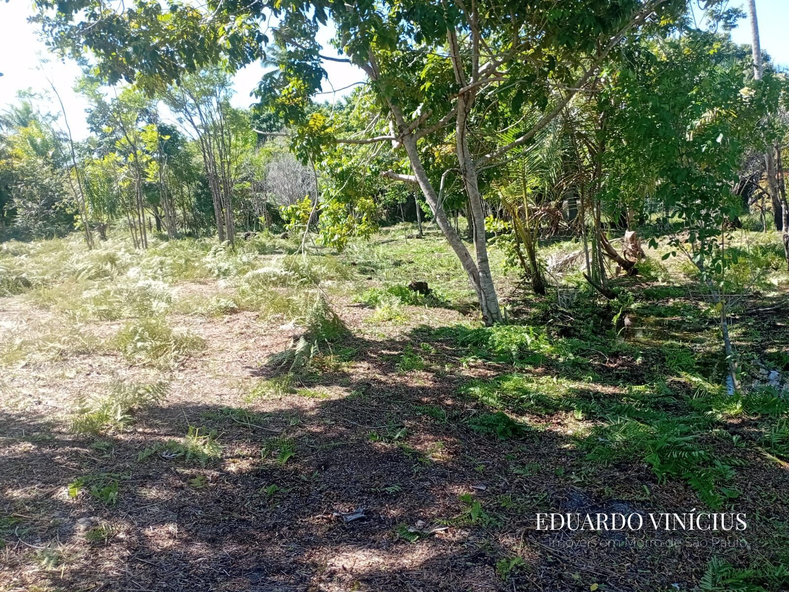 Terreno, 2500 m² - Foto 3