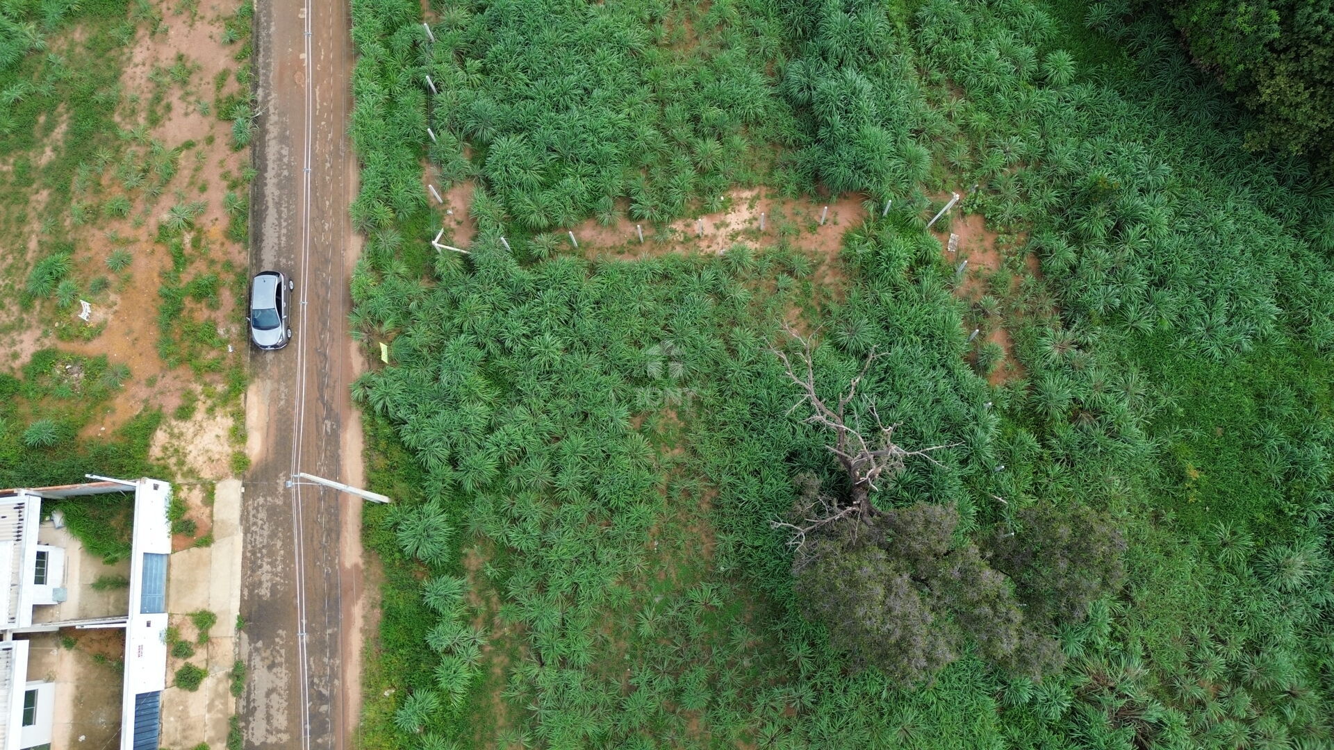 Terreno, 250 m² - Foto 5