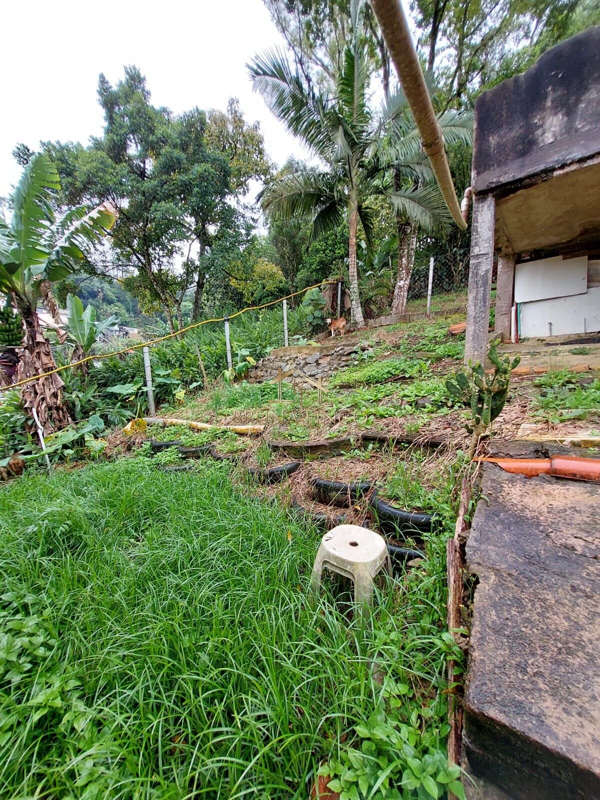 Casa, 4 quartos, 168 m² - Foto 35