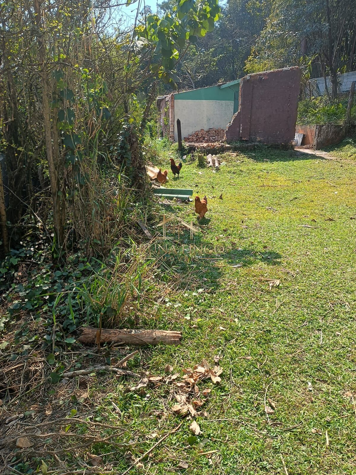 Terreno à venda, 300m² - Foto 3