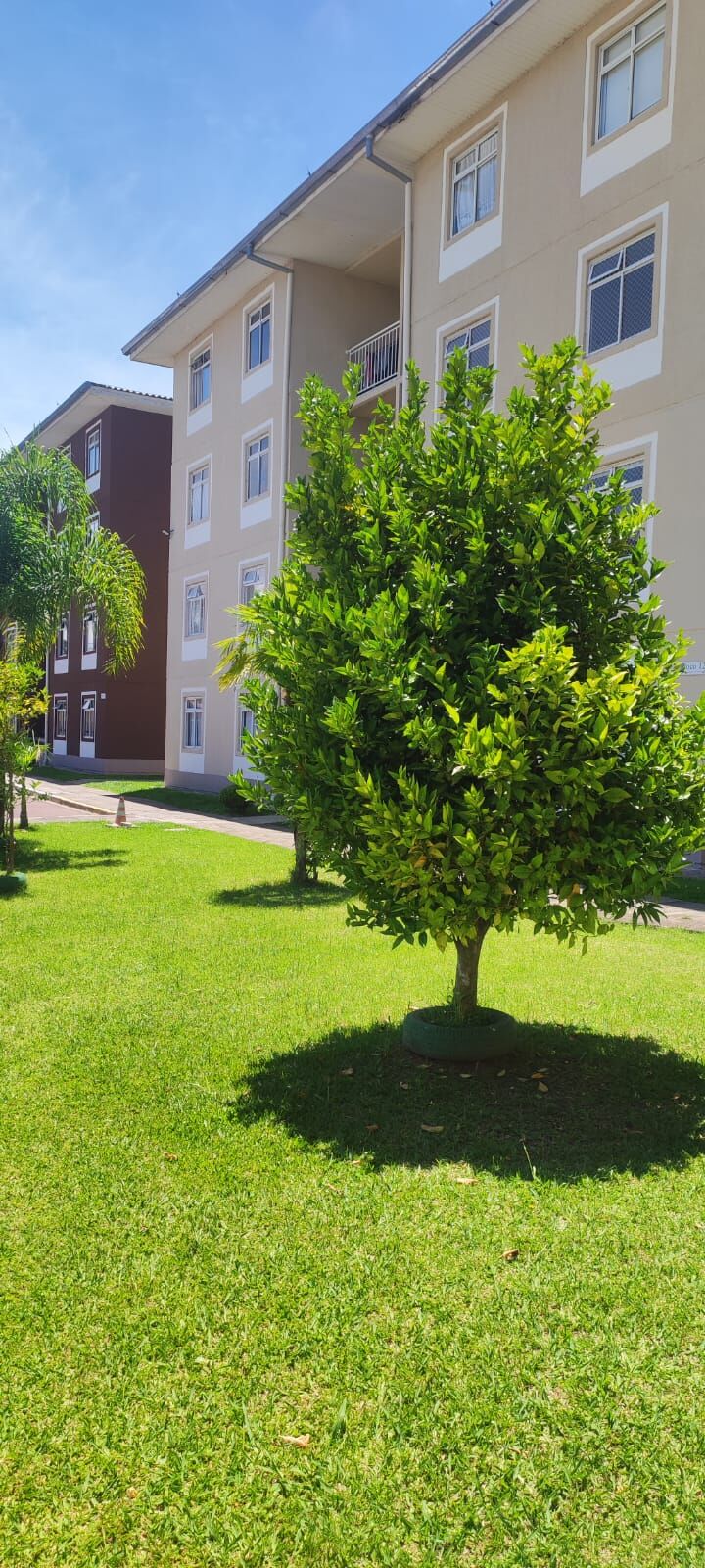 Apartamento, 2 quartos, 42 m² - Foto 6