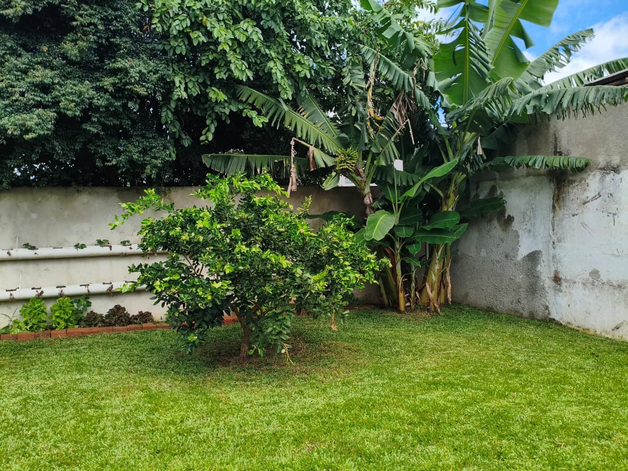 Casa, 4 quartos, 312 m² - Foto 49