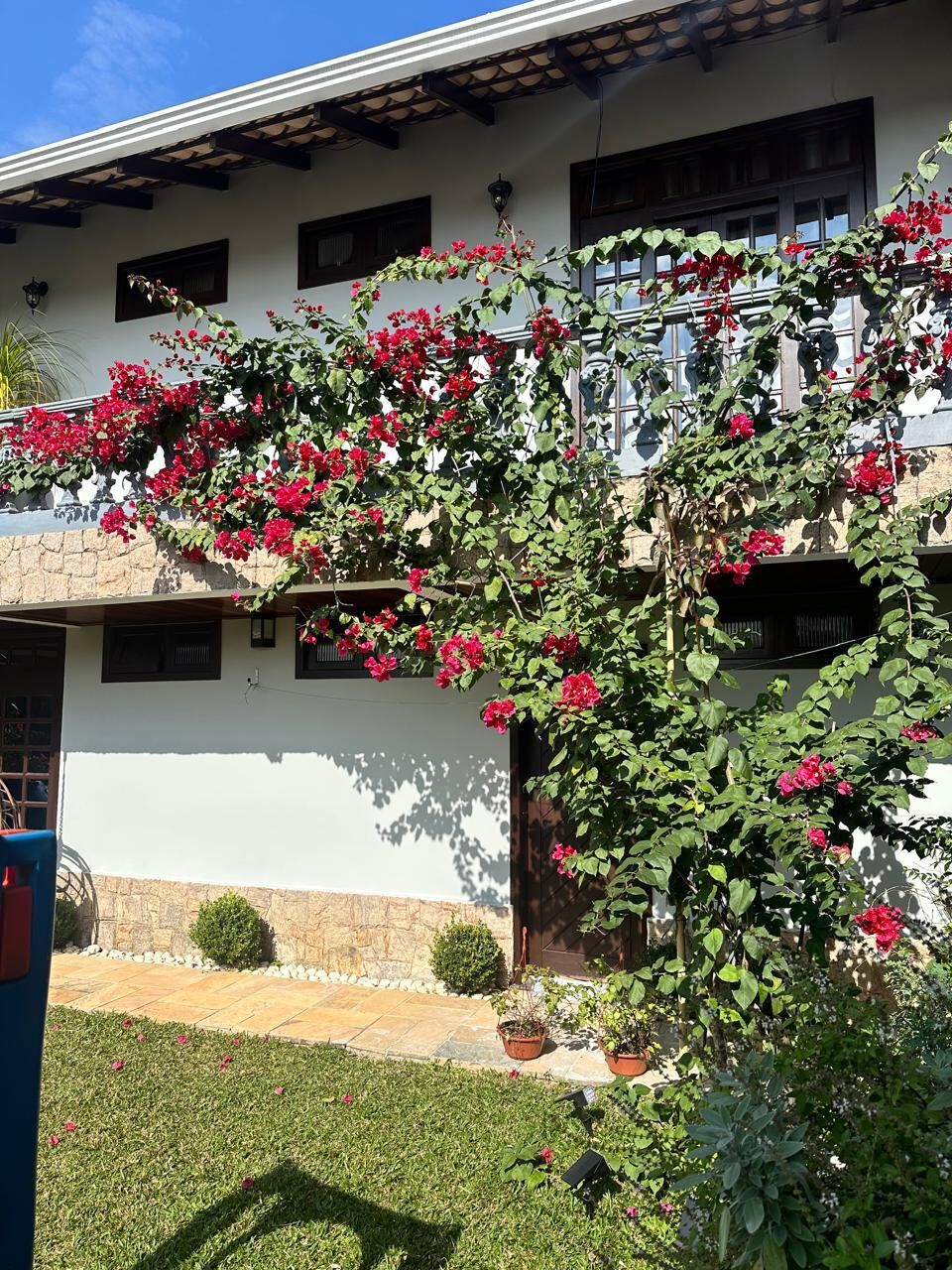 Casa, 5 quartos, 560 m² - Foto 3