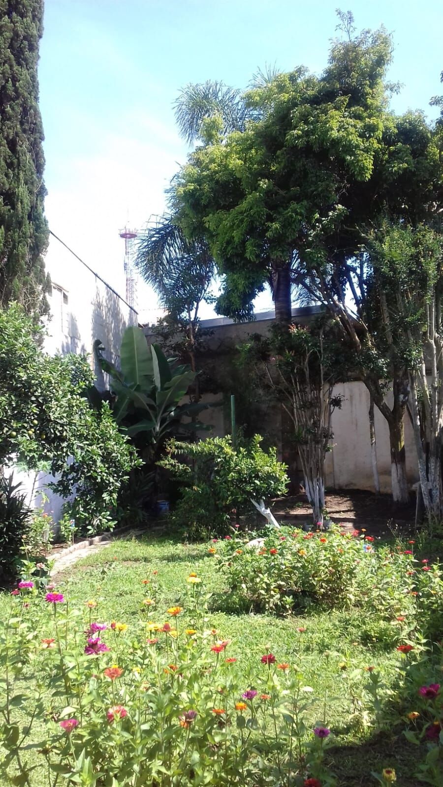 Sobrado, 5 quartos, 400 m² - Foto 45