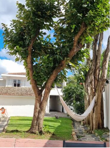 Sobrado, 4 quartos, 228 m² - Foto 1