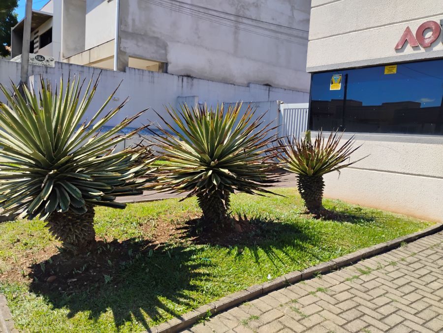 Terreno, 124 m² - Foto 5