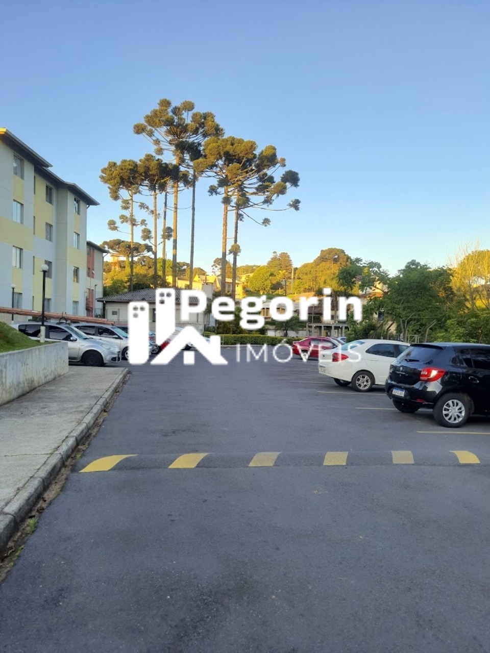 Foto 24