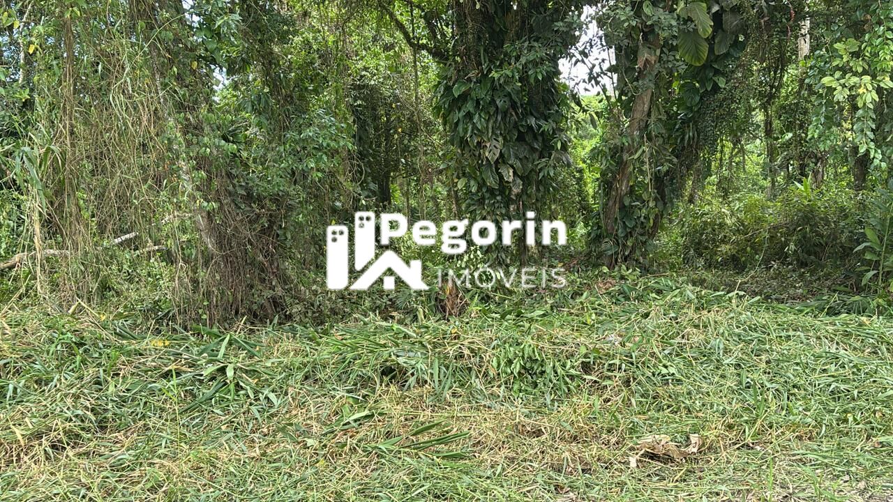 Terreno/Lote à venda  no Balneário Brandalize - Itapoá, SC. Imóveis