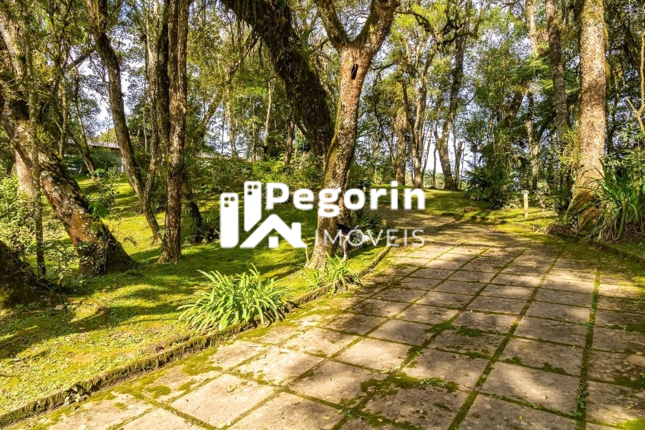 Chácara à venda com 7 quartos, 39000m² - Foto 28
