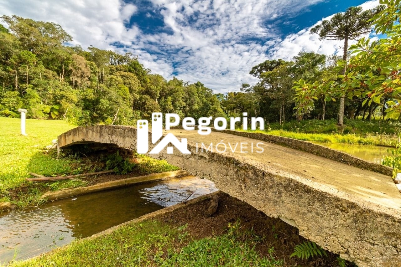 Chácara à venda com 7 quartos, 39000m² - Foto 27