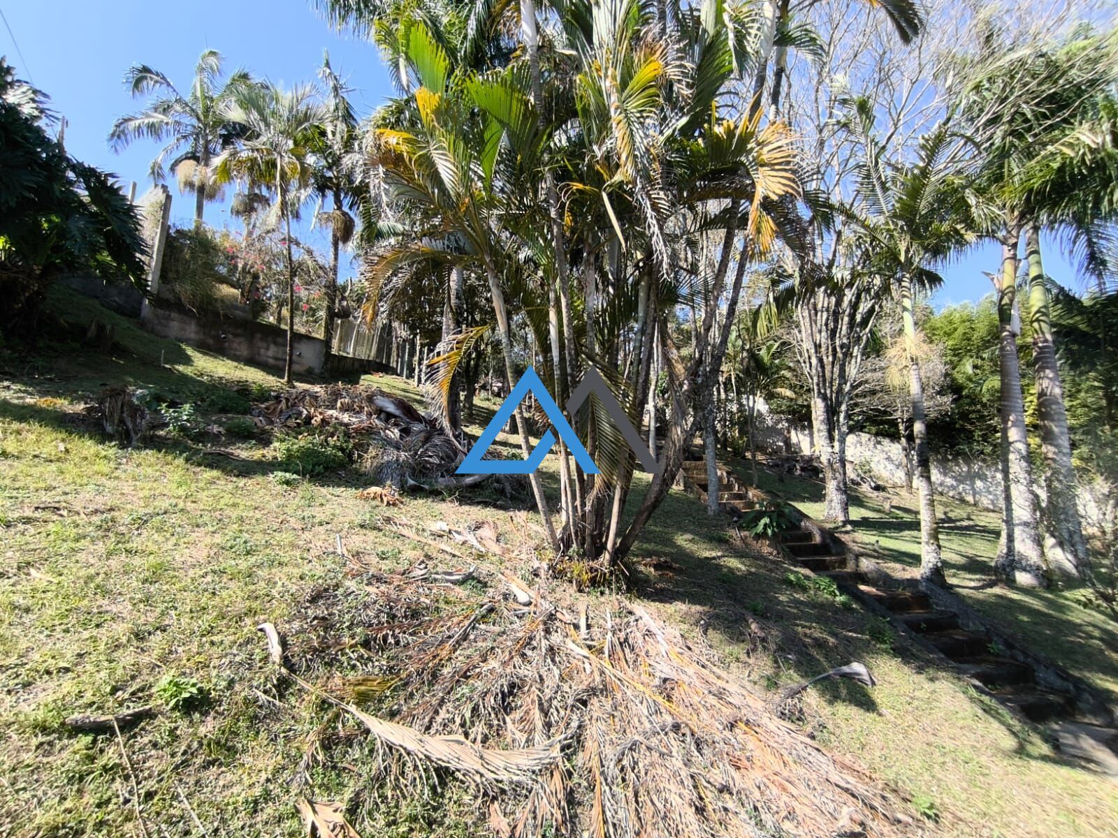 Chácara, 2 quartos, 1 hectares - Foto 38
