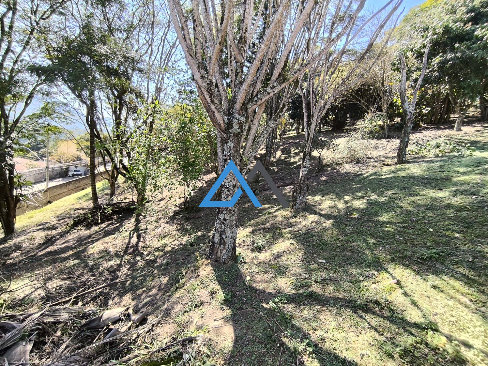 Chácara, 2 quartos, 1 hectares - Foto 17