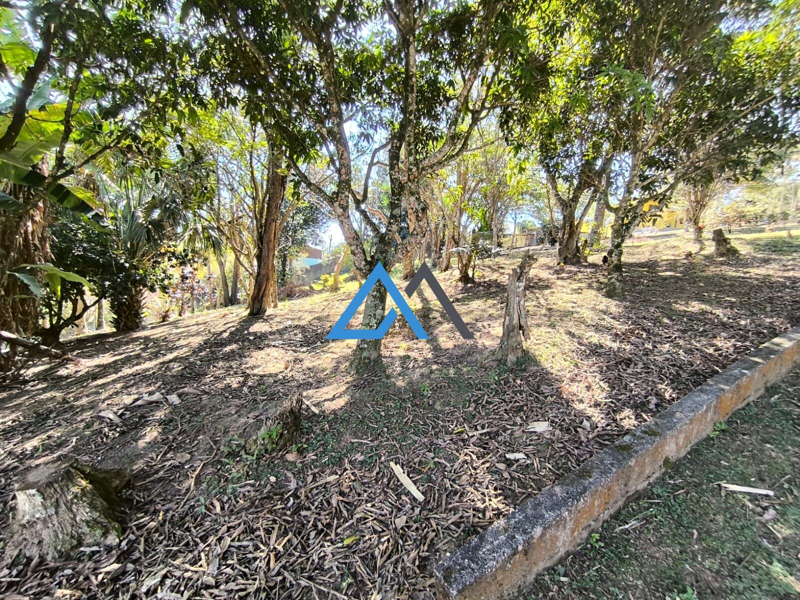 Chácara, 2 quartos, 1 hectares - Foto 40