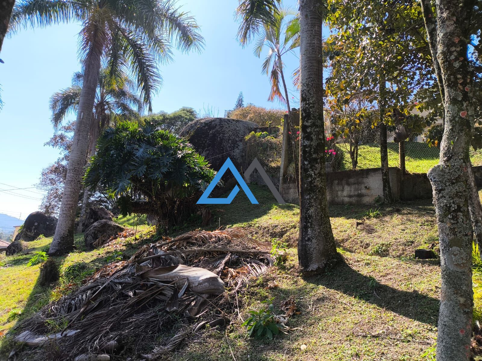 Chácara, 2 quartos, 1 hectares - Foto 36