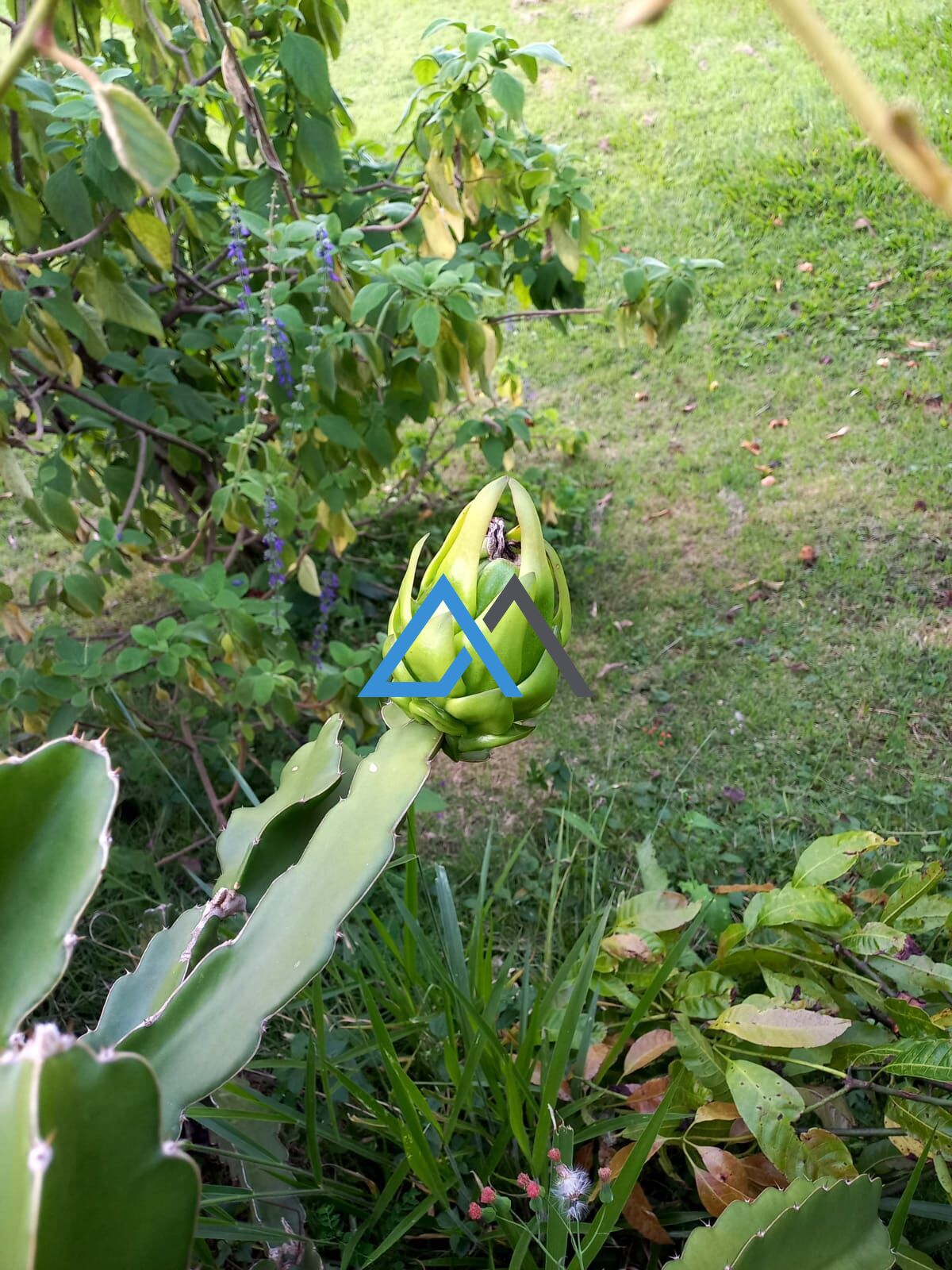 Chácara, 3 quartos, 1100 m² - Foto 20