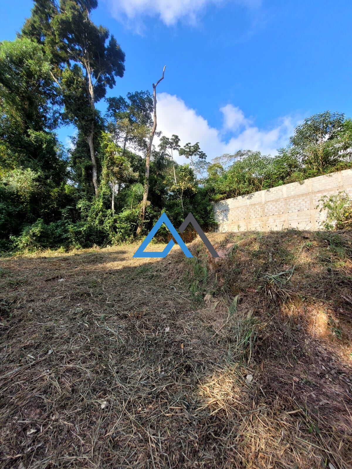 Terreno à venda, 1000m² - Foto 2