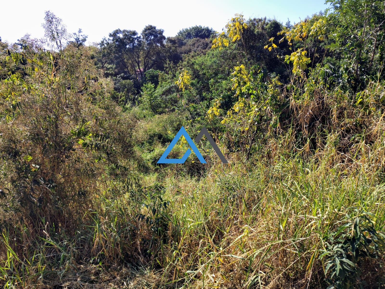 Terreno, 800 m² - Foto 11