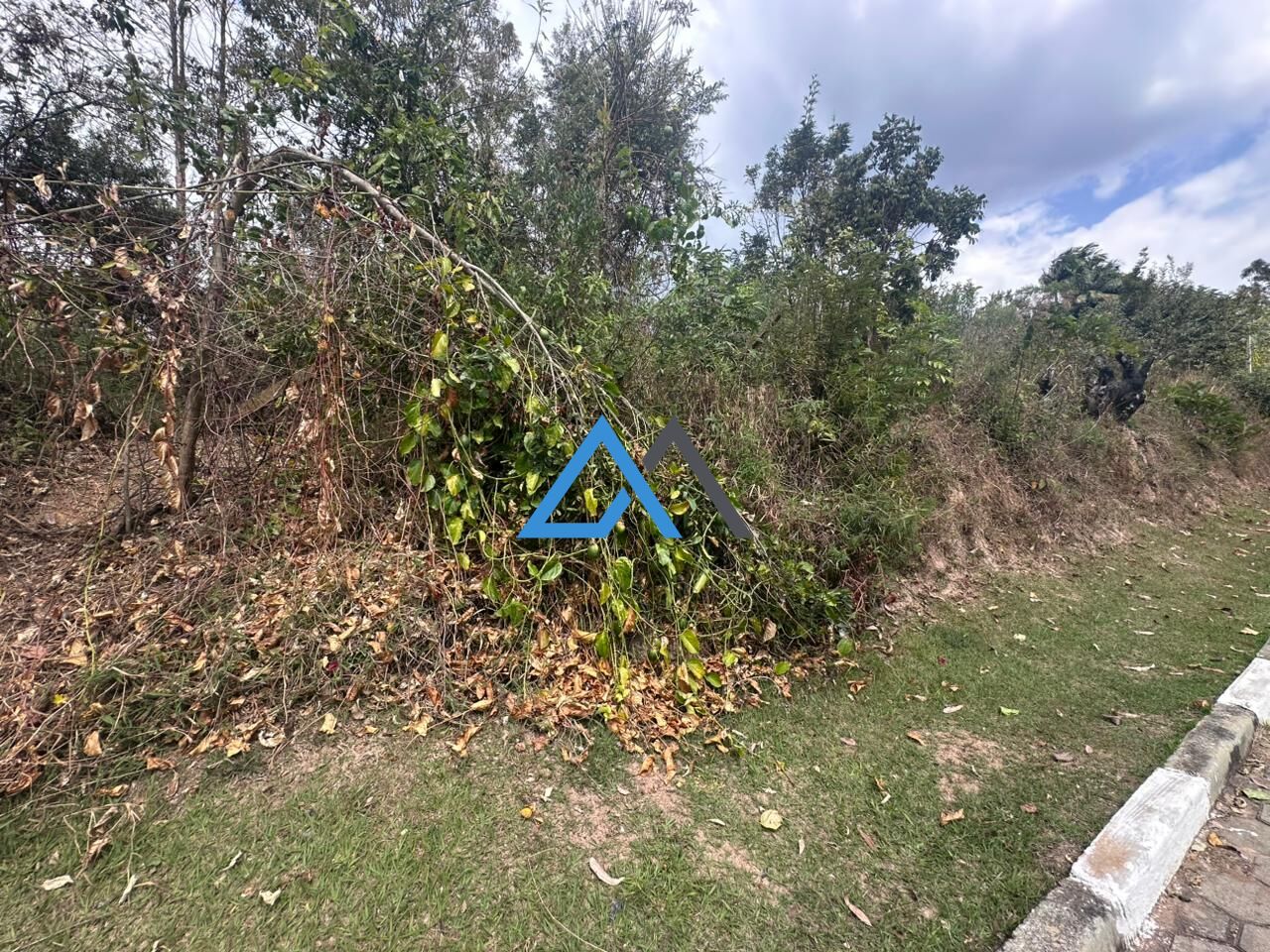 Terreno, 1000 m² - Foto 6