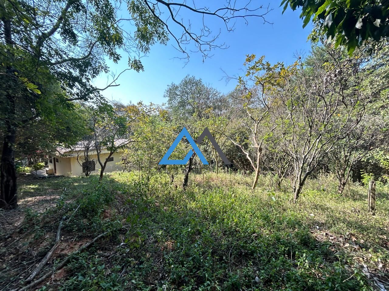 Fazenda à venda com 3 quartos, 3000m² - Foto 13