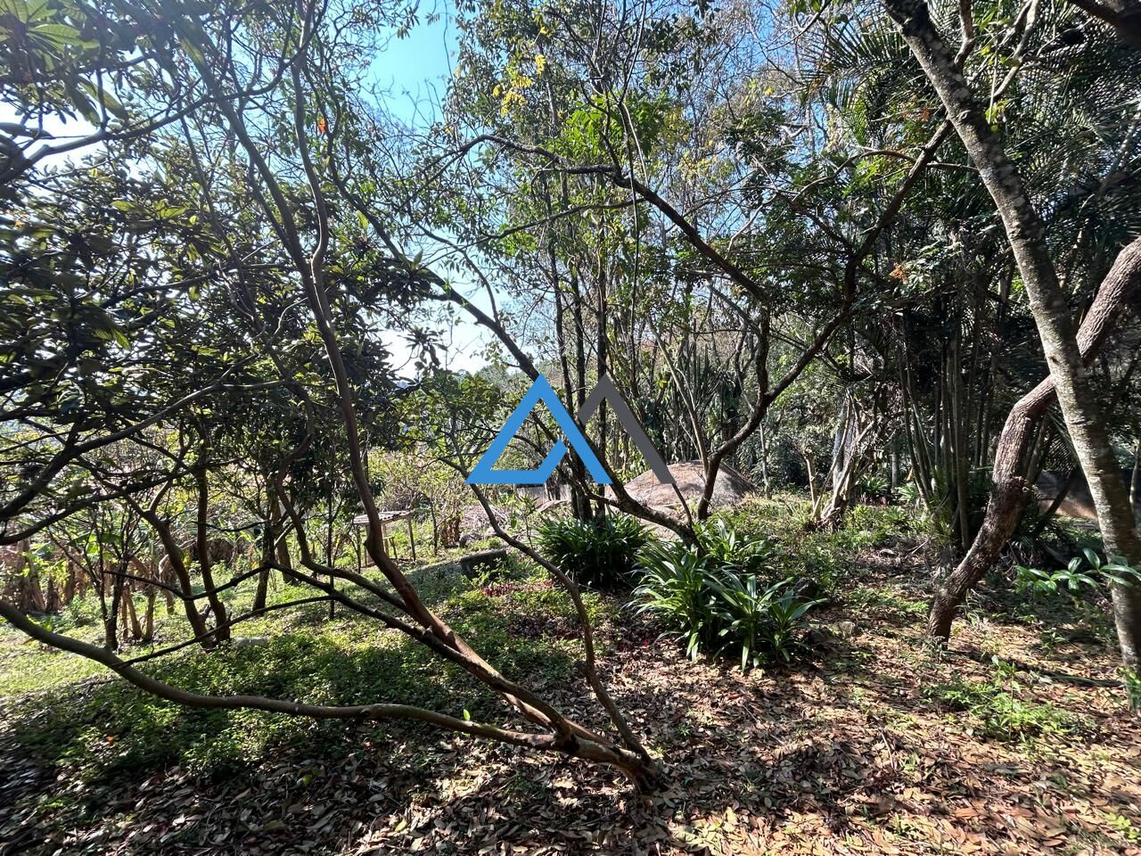 Fazenda à venda com 3 quartos, 3000m² - Foto 6