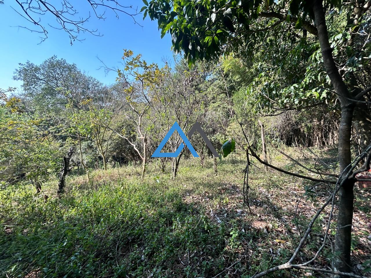 Fazenda à venda com 3 quartos, 3000m² - Foto 11