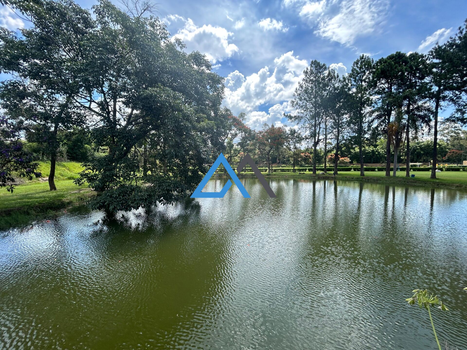 Fazenda à venda com 9 quartos, 95000m² - Foto 6