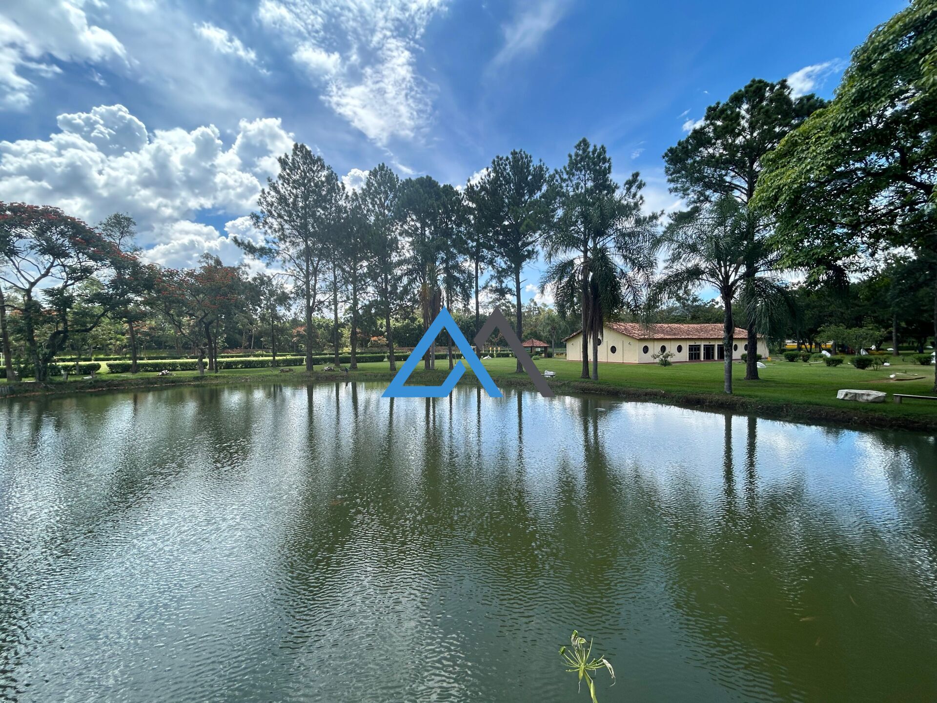 Fazenda à venda com 9 quartos, 95000m² - Foto 3