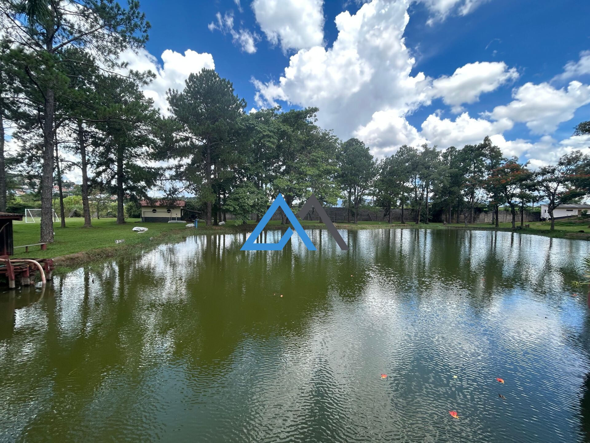 Fazenda à venda com 9 quartos, 95000m² - Foto 2