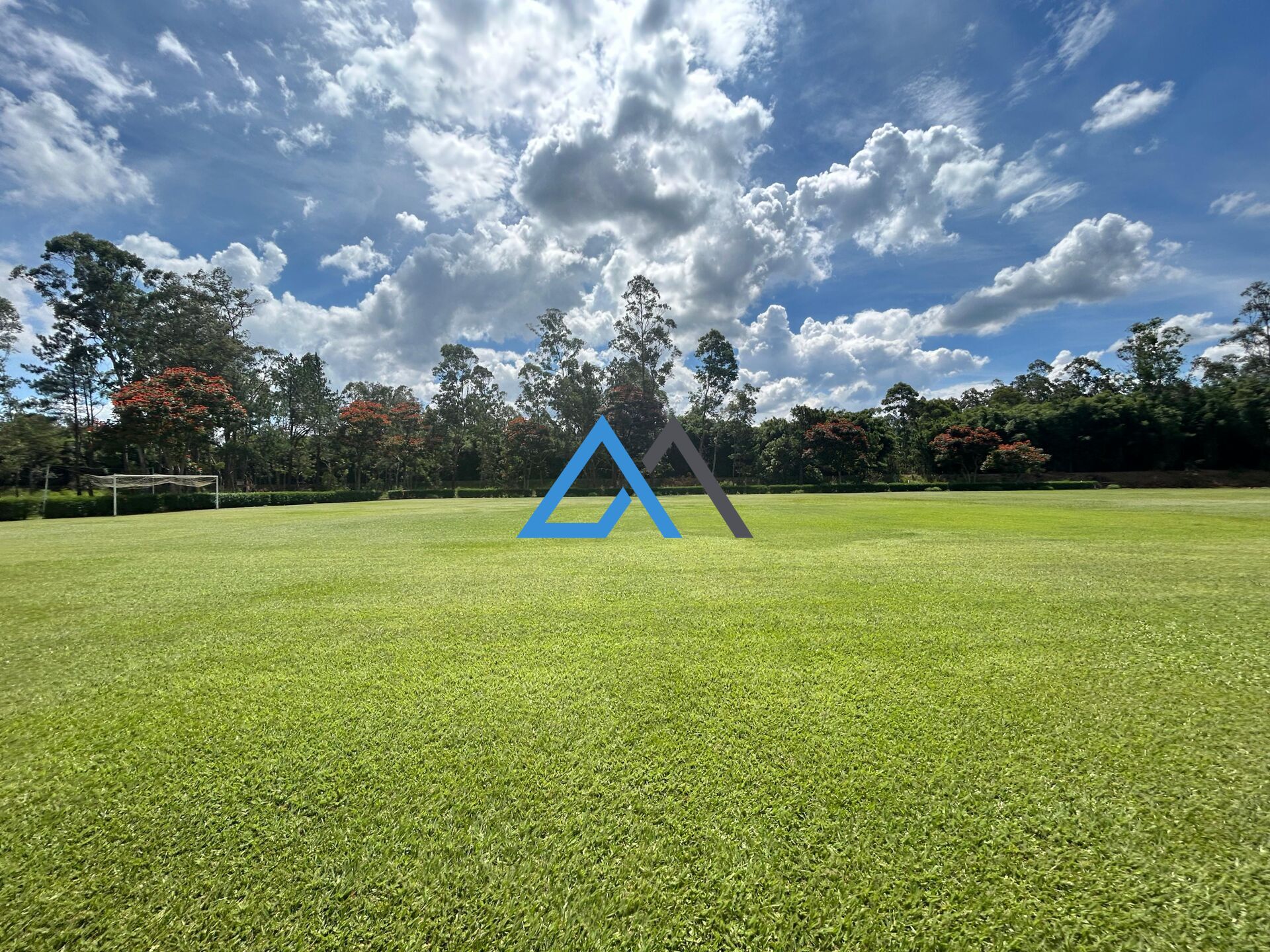 Fazenda à venda com 9 quartos, 95000m² - Foto 9