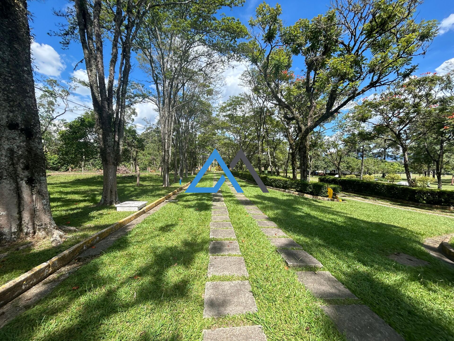 Fazenda à venda com 9 quartos, 95000m² - Foto 41