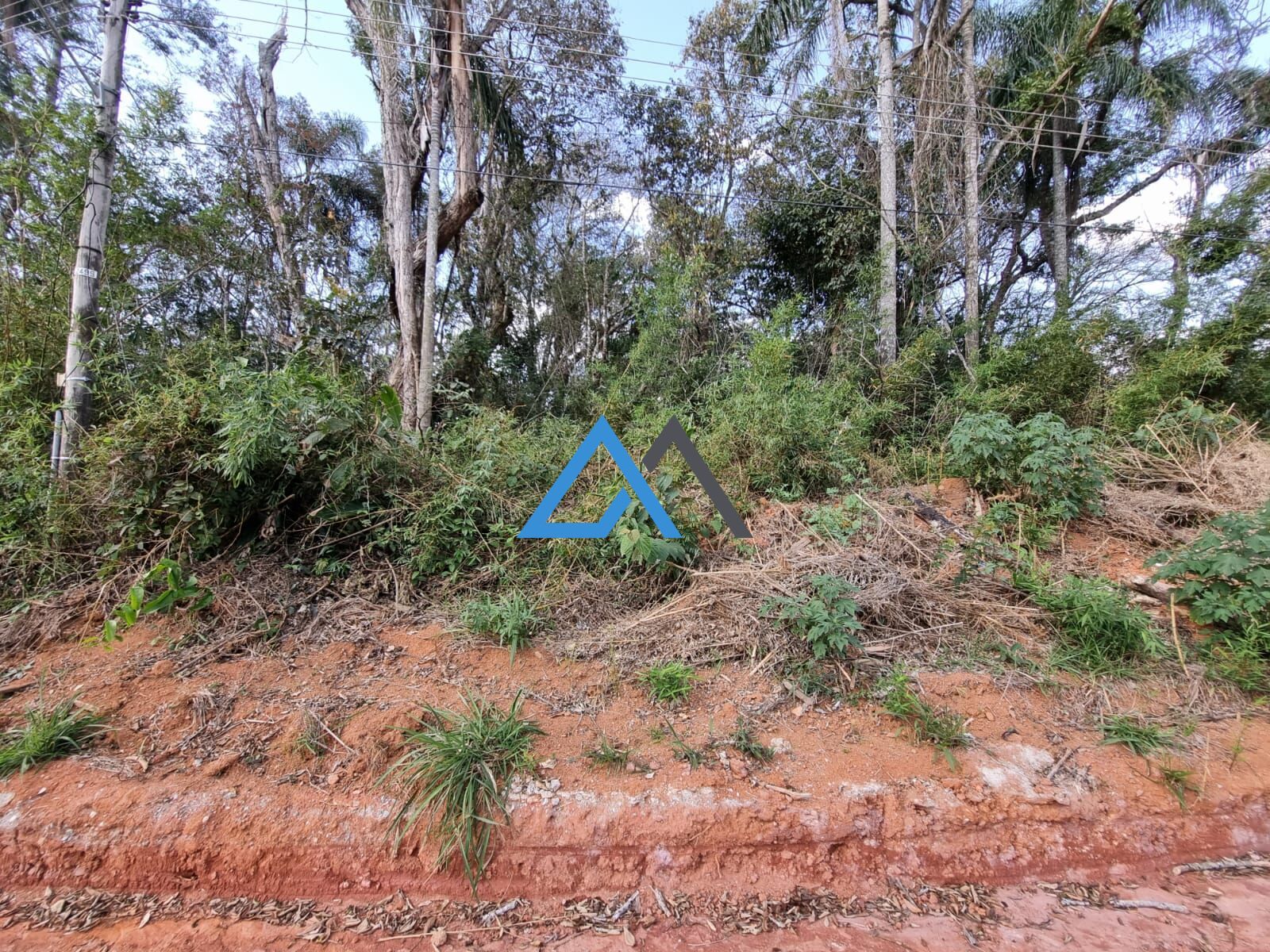 Terreno à venda, 1000m² - Foto 5