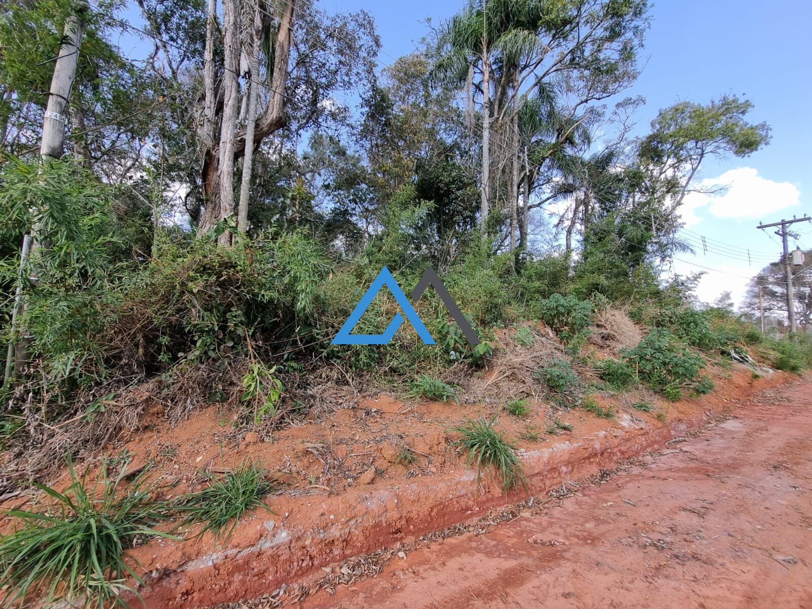 Terreno à venda, 1000m² - Foto 4