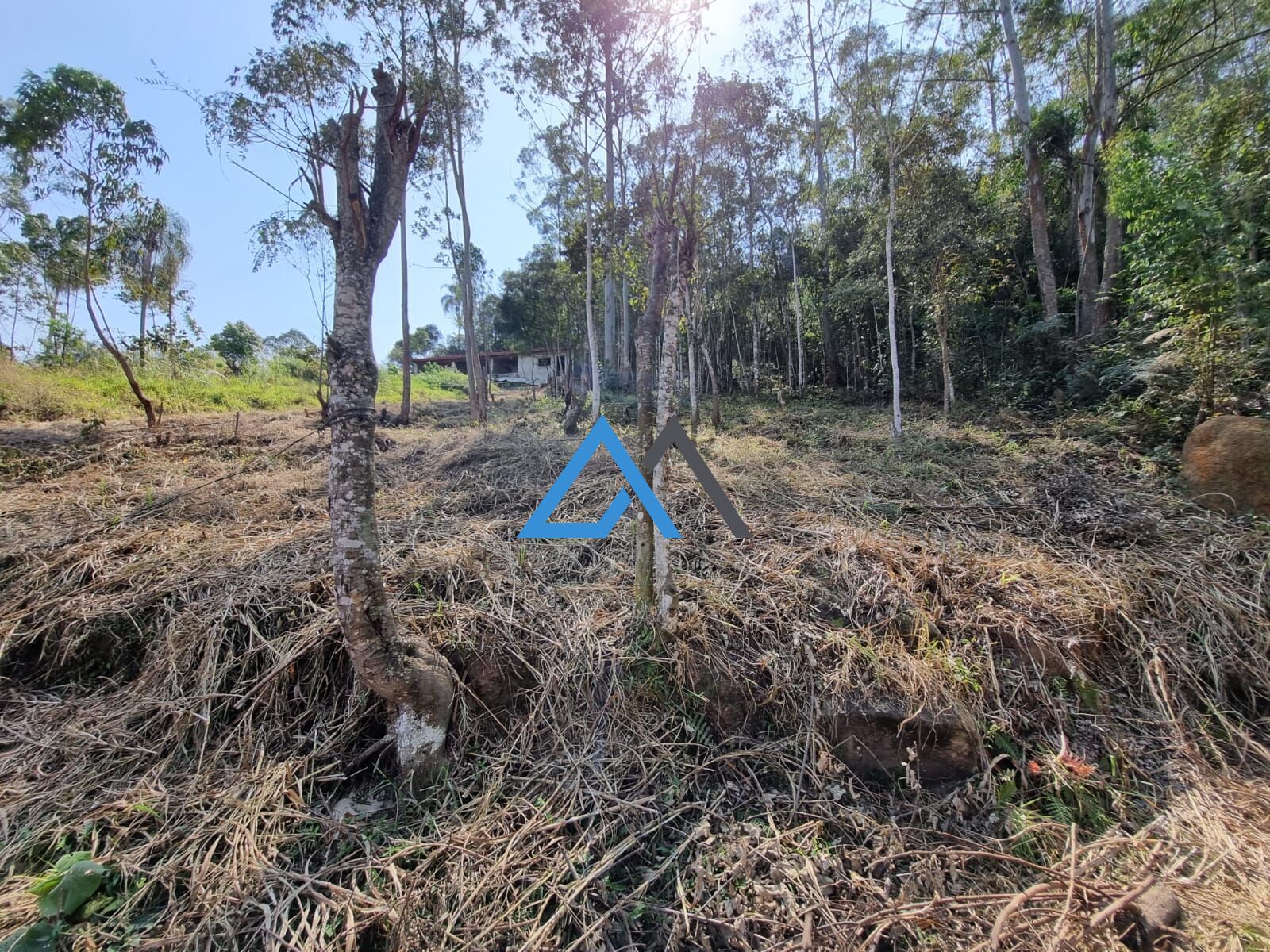 Terreno à venda, 1090m² - Foto 6