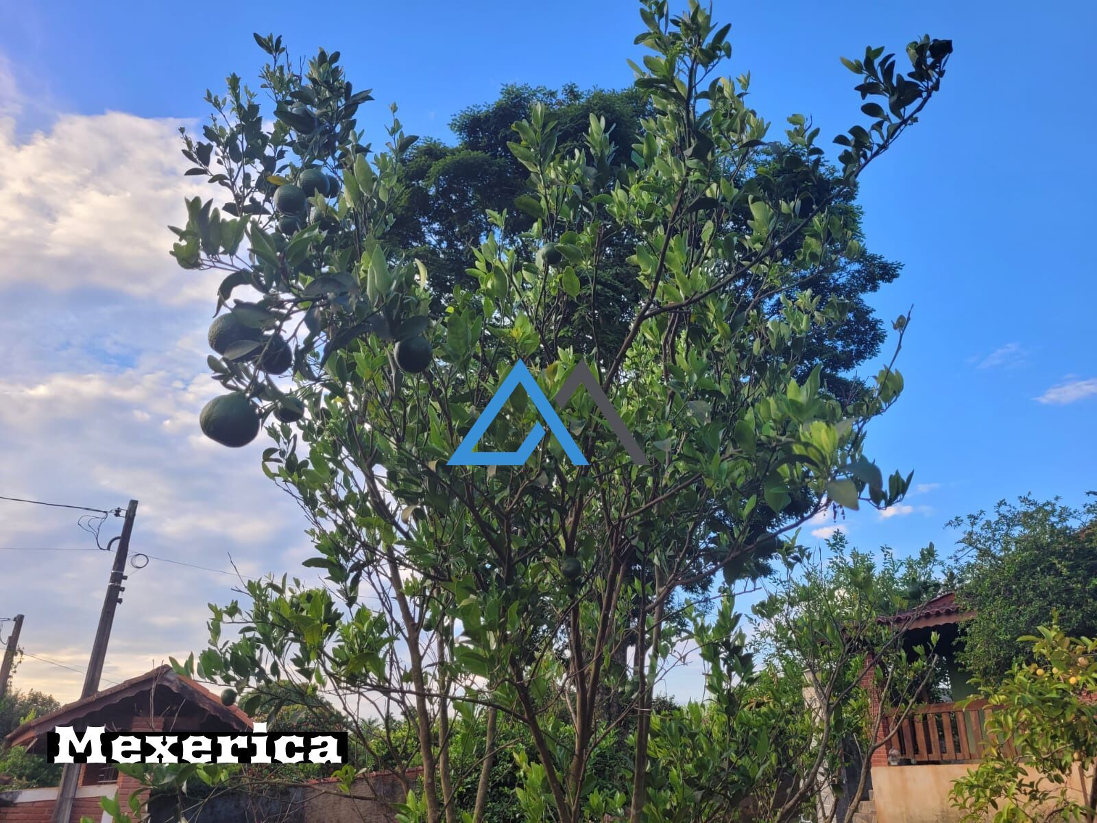 Chácara, 3 quartos, 1000 m² - Foto 25