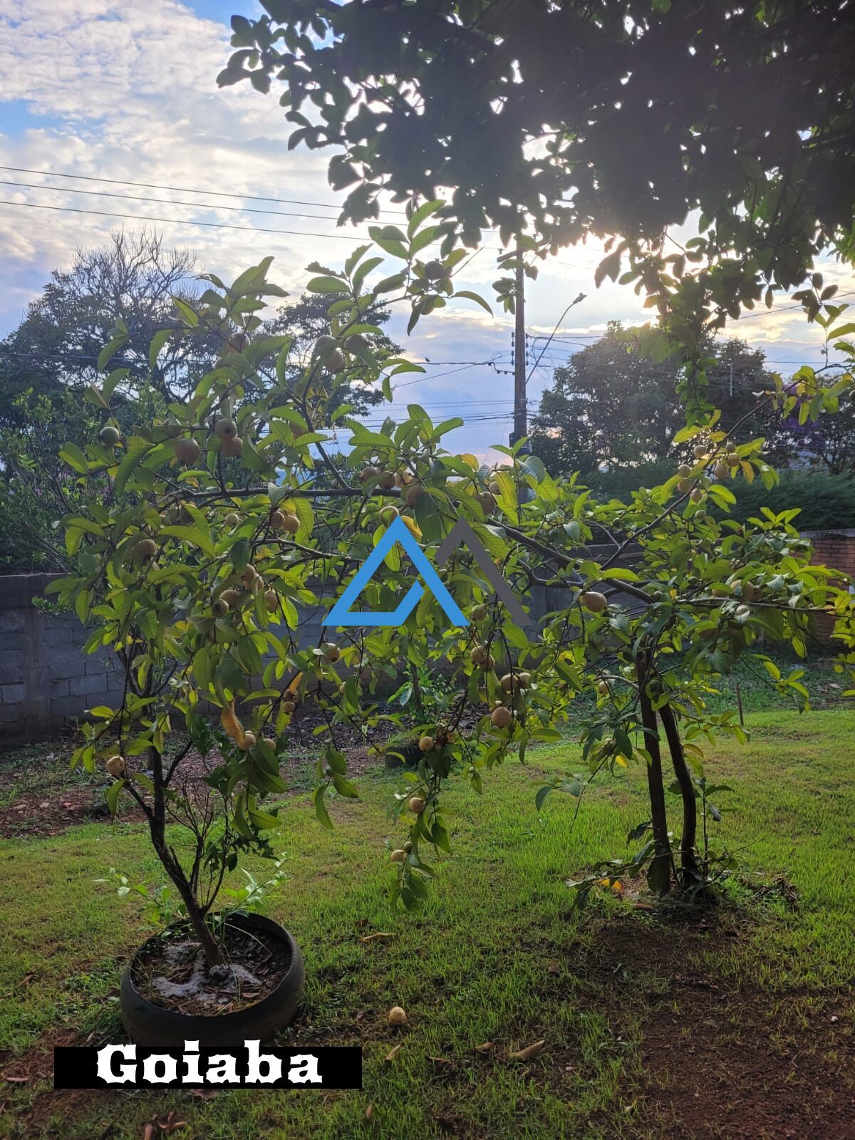 Chácara, 3 quartos, 1000 m² - Foto 21