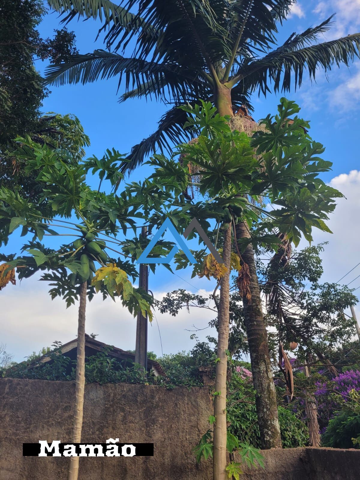 Chácara, 3 quartos, 1000 m² - Foto 27