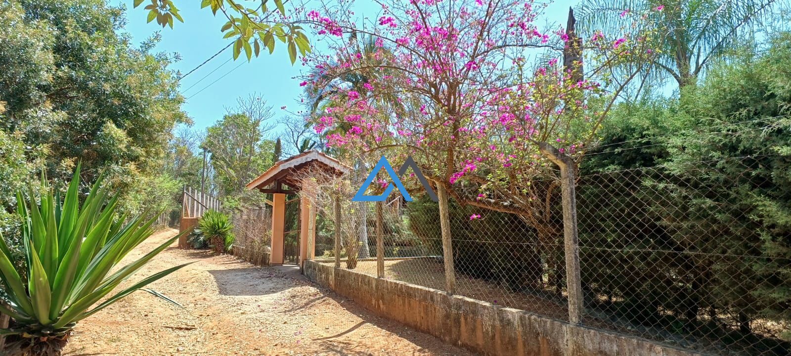 Chácara, 3 quartos, 3850 m² - Foto 12