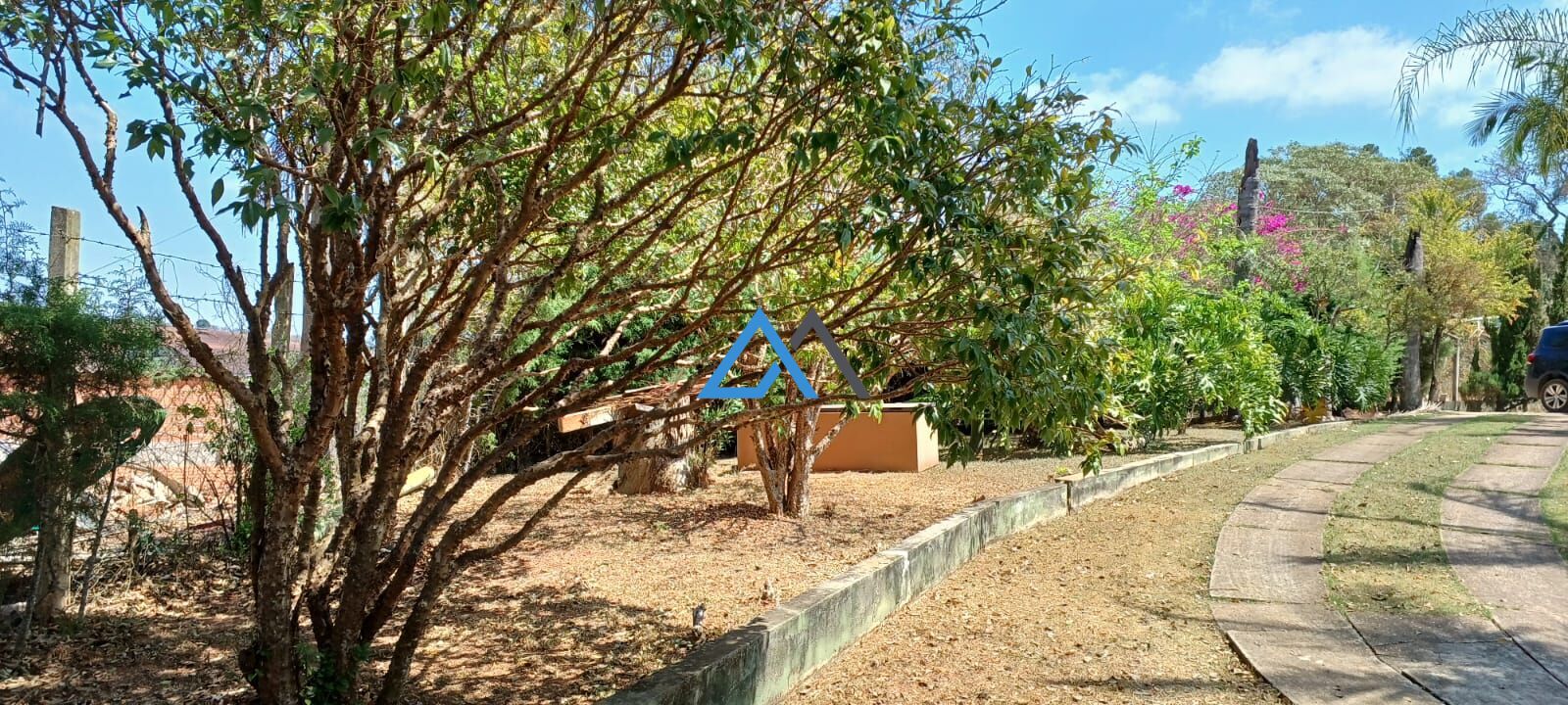 Chácara, 3 quartos, 3850 m² - Foto 5