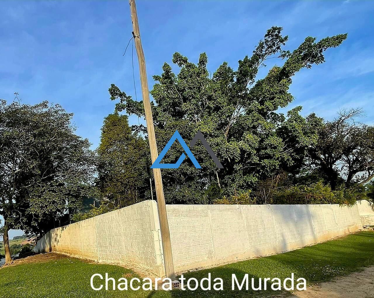 Fazenda à venda com 4 quartos, 6000m² - Foto 11