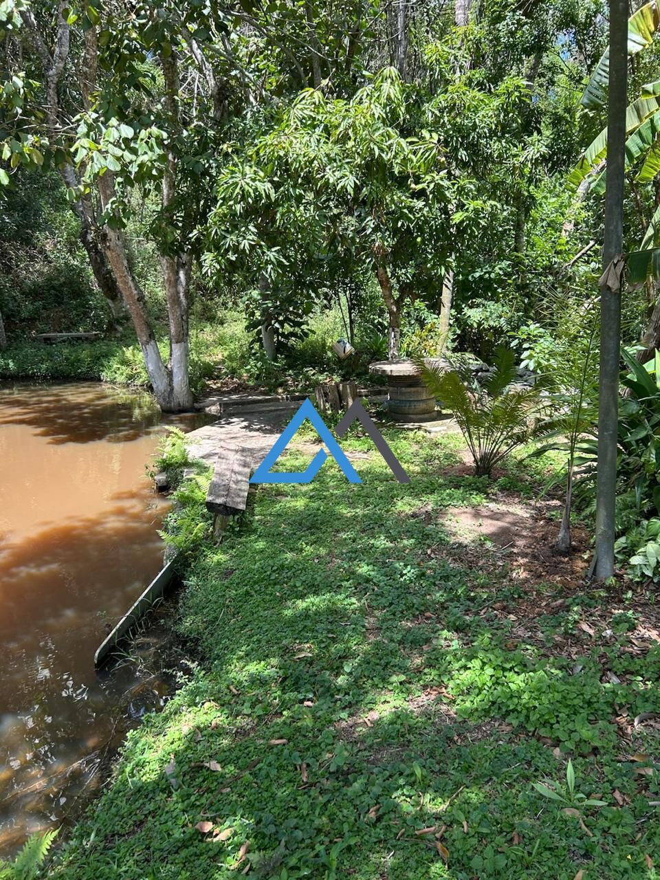 Sítio, 4 quartos, 800 m² - Foto 19