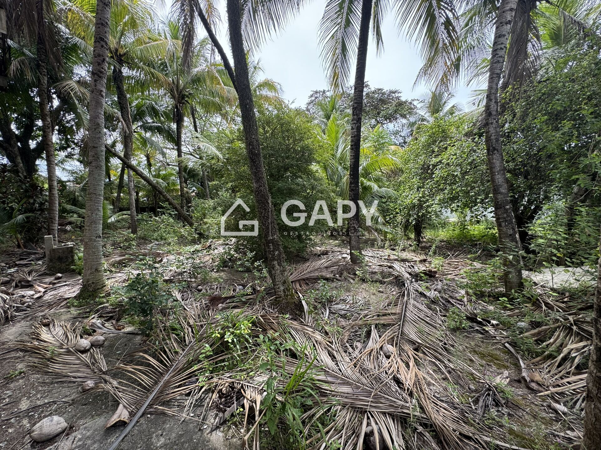 Terreno, 1800 m² - Foto 4