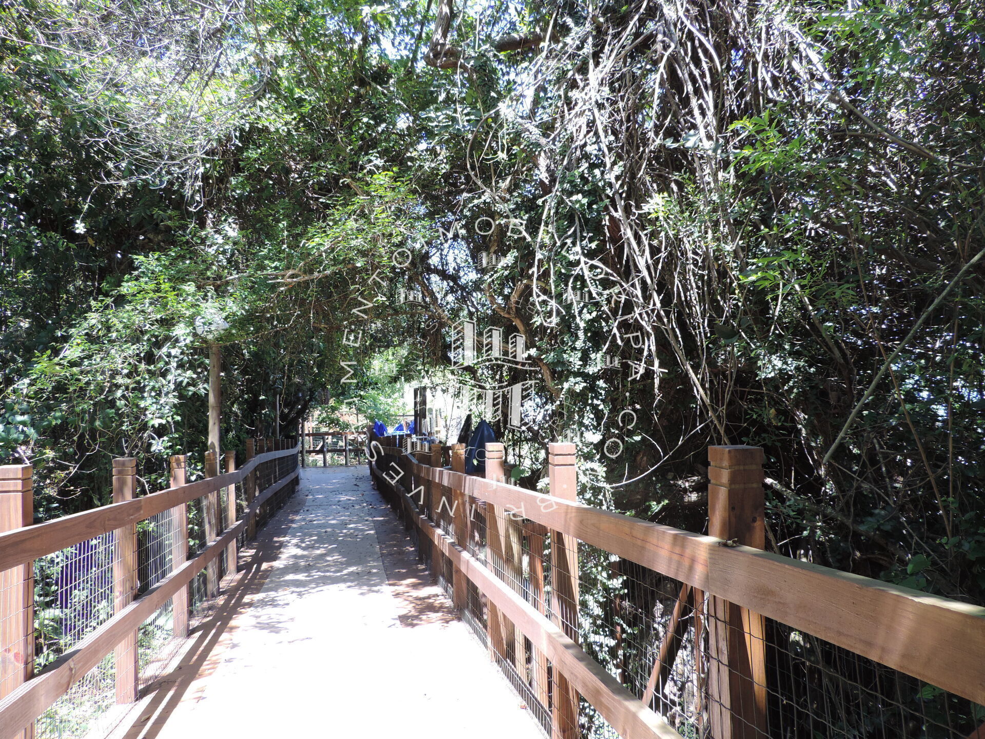 Apartamento, 3 quartos, 120 m² - Foto 3