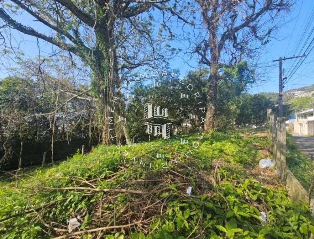 Terreno, 1750 m² - Foto 10