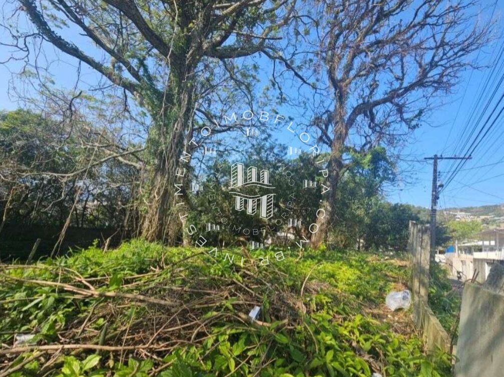 Terreno, 1750 m² - Foto 14