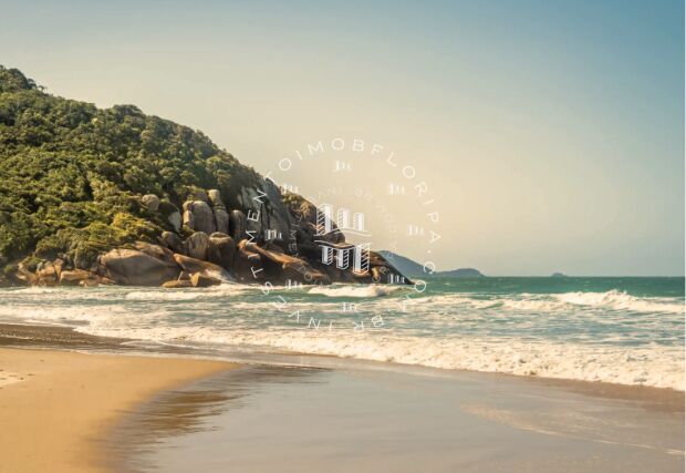 Terreno, 6 hectares - Foto 3