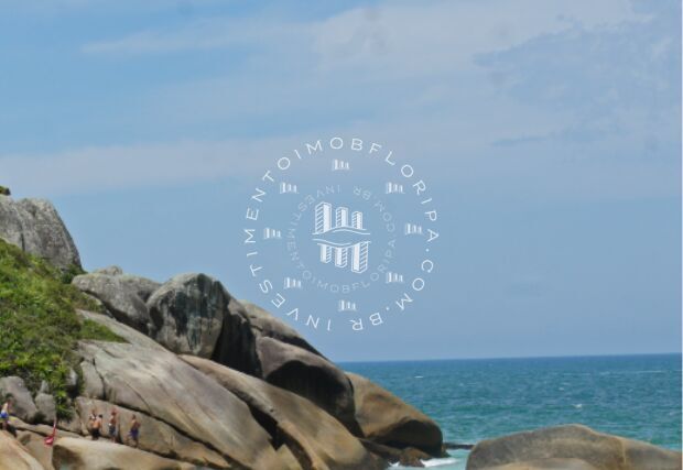 Terreno, 6 hectares - Foto 4