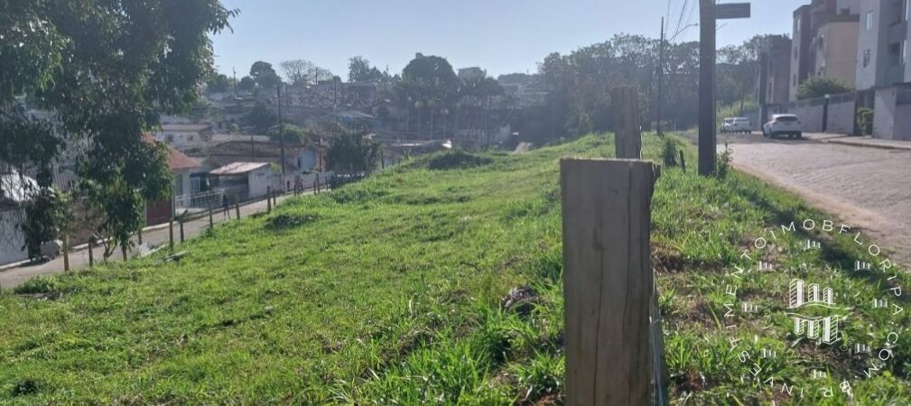 Terreno à venda, 2900m² - Foto 3