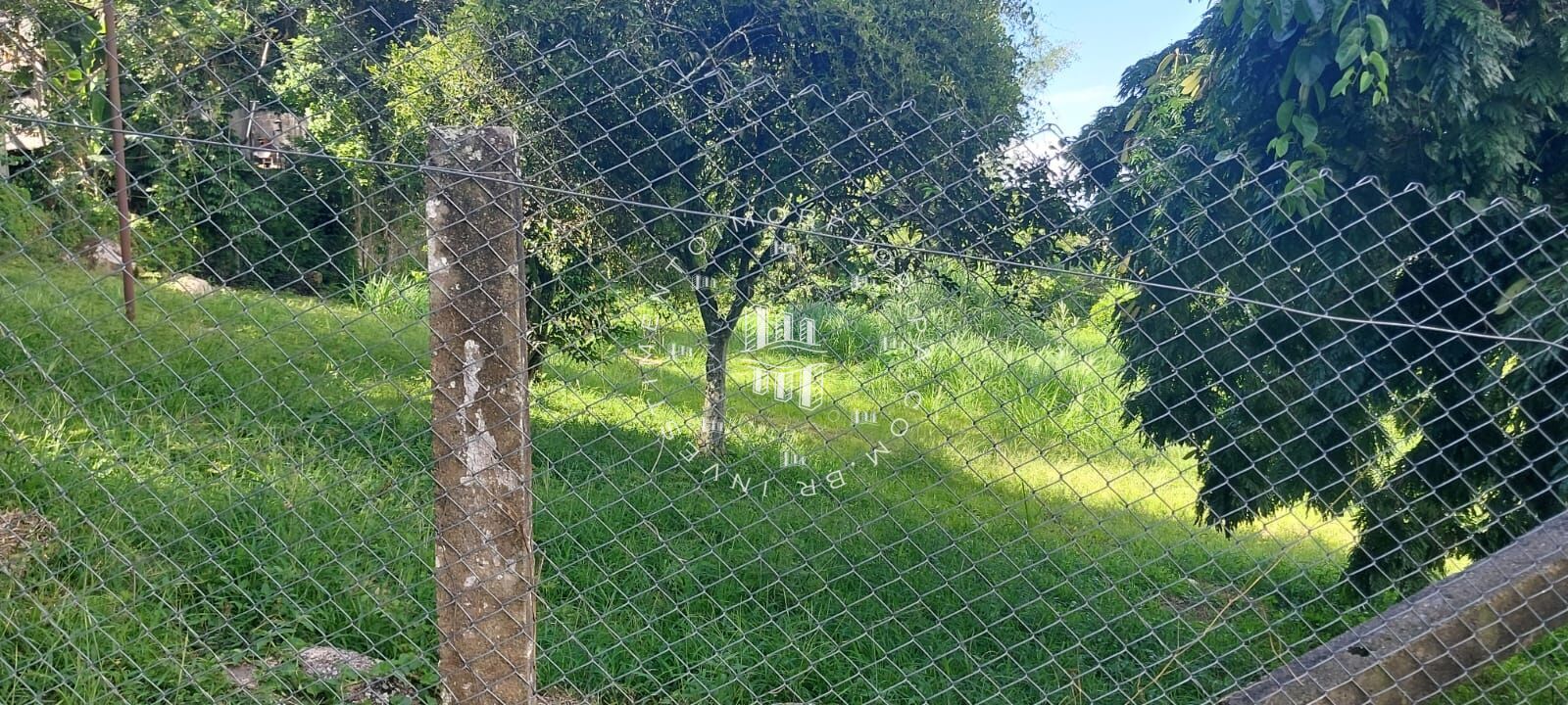 Fazenda à venda com 1 quarto, 66000m² - Foto 14