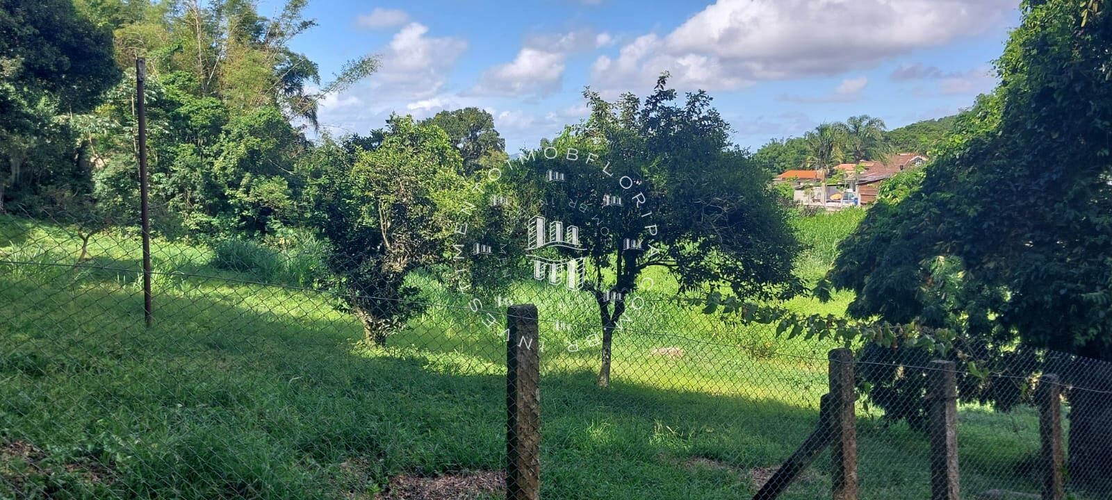 Fazenda à venda com 1 quarto, 66000m² - Foto 2